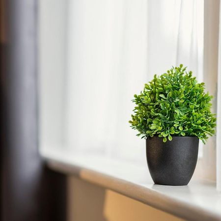 Dunes Hotel ウィットレイ・ベイ エクステリア 写真